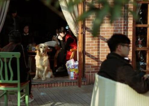 直播赚钱如何算收益?直播赚钱的方法有哪些