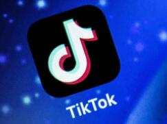 TikTok怎么看粉丝数据，TikTok整体营销