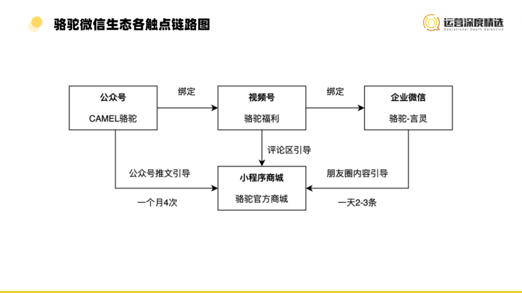 微信视频号渠道中的小众品类，如何弯道超车