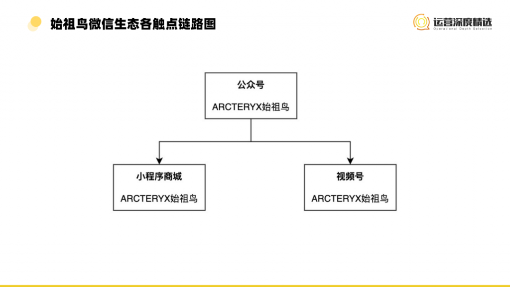 微信视频号渠道中的小众品类，如何弯道超车