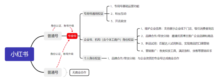 小红书企业号怎么运营？推动数据实现良好转化