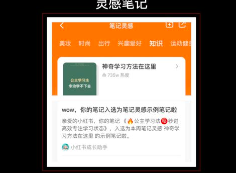 小红书如何才能3个月涨粉17w,变现10w+