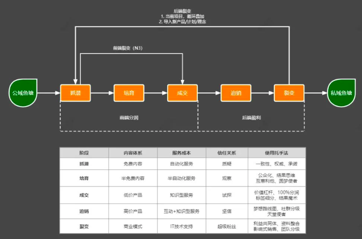 花西子的增长爆发逻辑和运营策略是什么