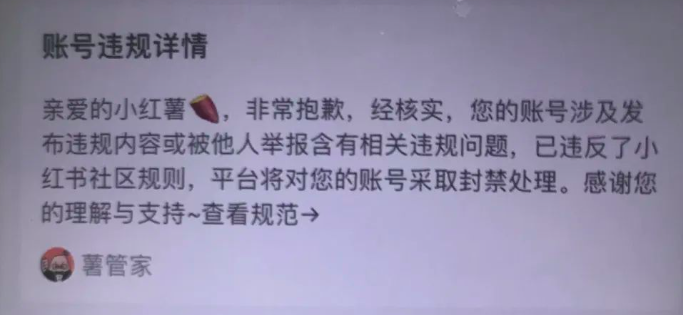 如何顺应小红书平台的新算法变化