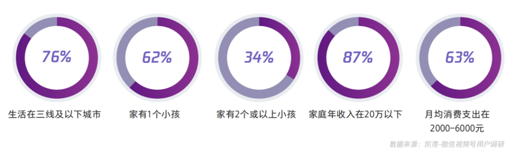 视频号中买家用户画像、内容和来源等调研数据