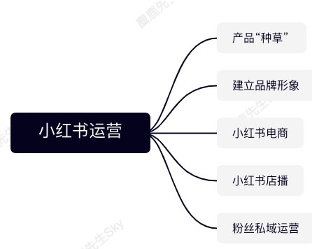 企业的小红书运营团队组织架构如何设计