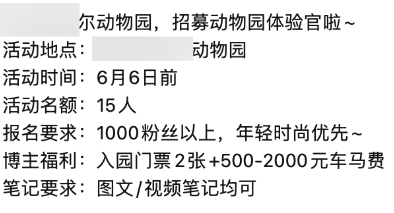 为什么说小红书探店没有KOL