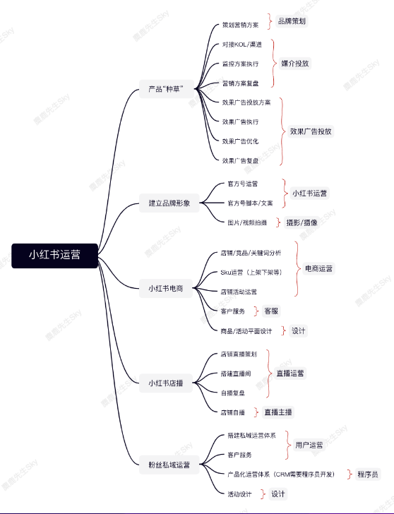 企业的小红书运营团队组织架构如何设计