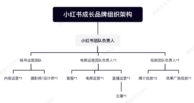 企业的小红书运营团队组织架构如何设计