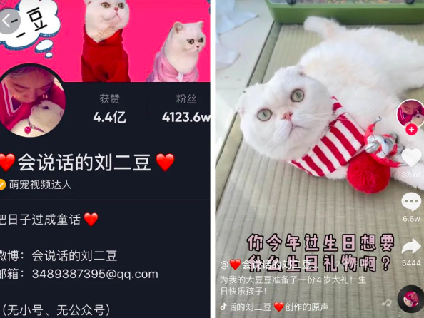 自媒体停更、被封禁,流量网红的出走和消亡