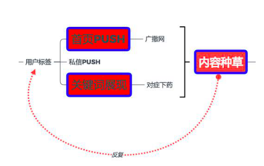 为什么在小红书上“种不好草”