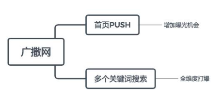 为什么在小红书上“种不好草”