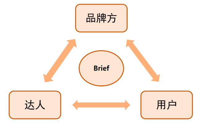 brief到底是什么意思？小红书Brief如何写