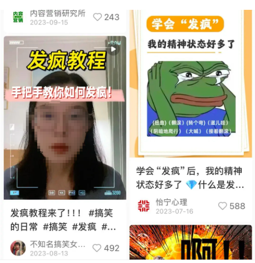 抖音和小红书在引领流之间有什么不同