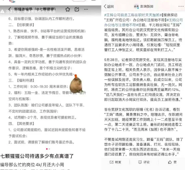 千万粉丝顶流网红“王妈”翻车,流量密码或许成了流量毒药