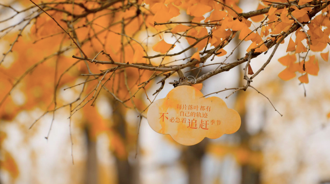 爱你老己,致敬40岁的我们